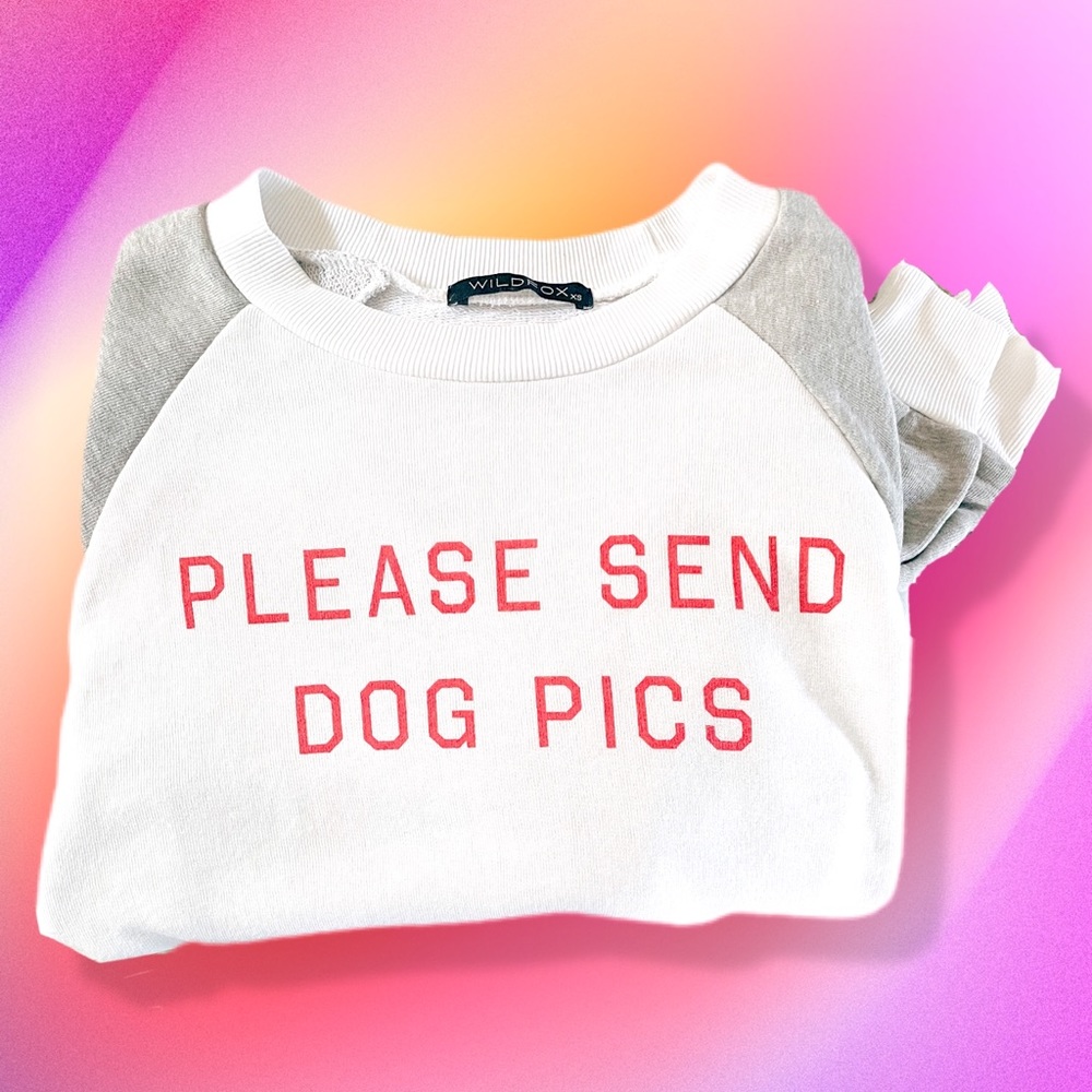 Wildfox Lounge Sweatshirt